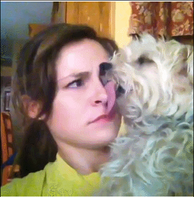 funnygif_dog-licking-girls-face